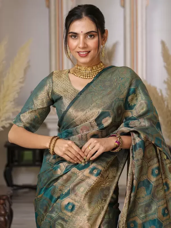 Banarasi Organza Saree